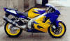 ����� ����� - ������� �����: ���������